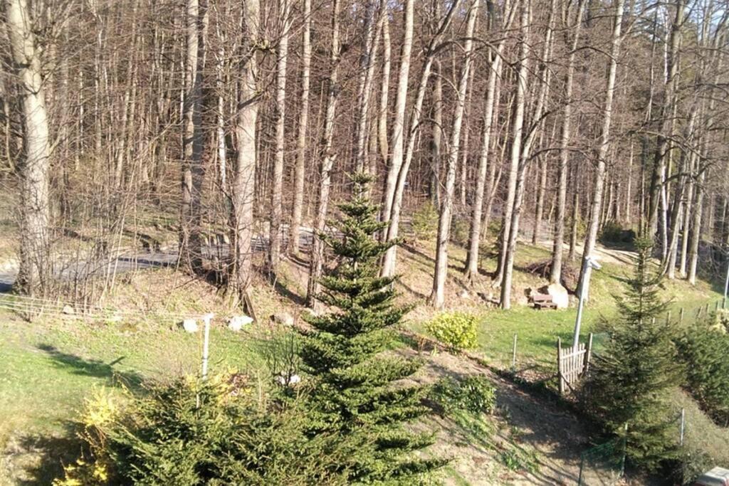 Nowoczesne Mieszkanie Blisko Natury I Sklepu Biedronka Karpacz Exteriér fotografie